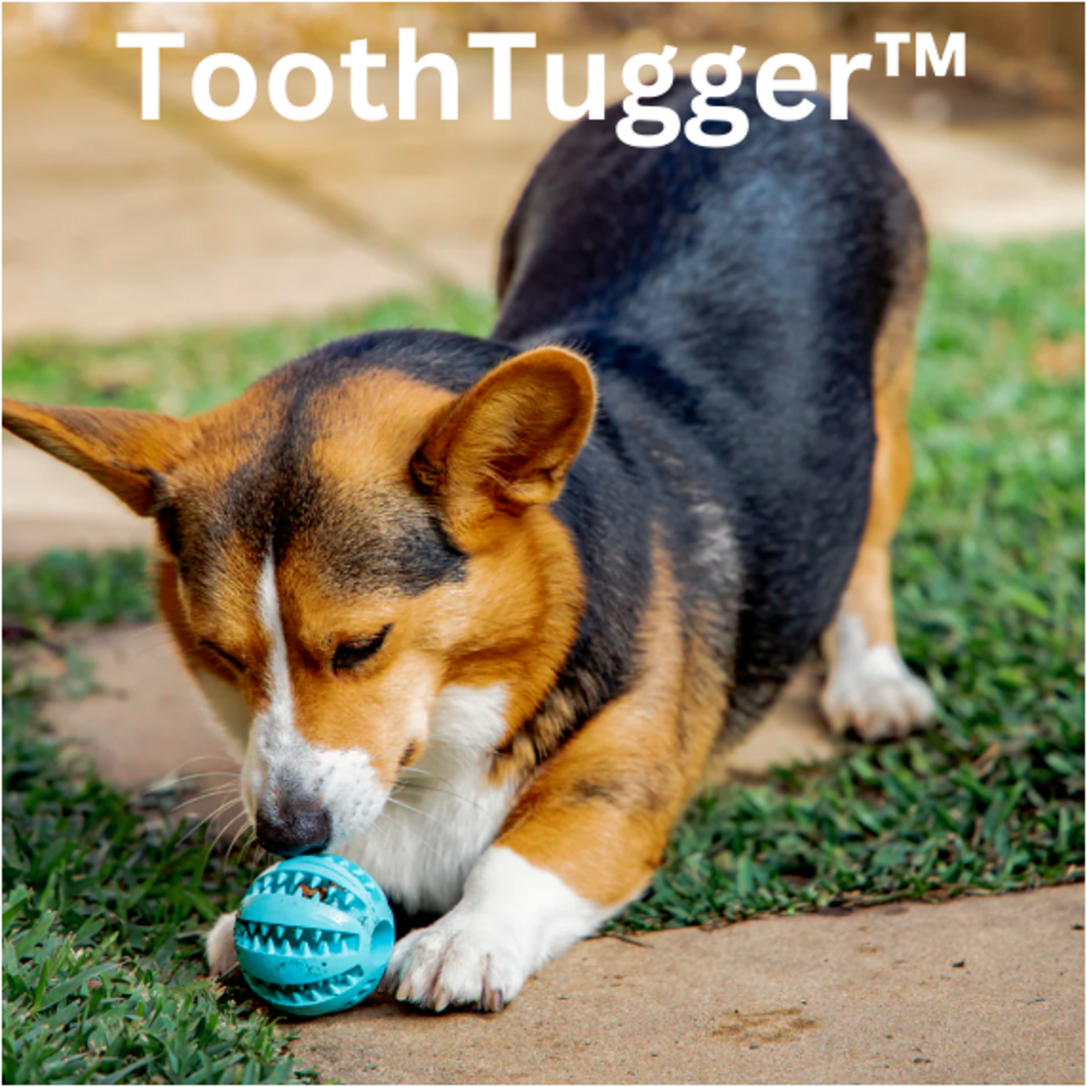 ToothTugger™ + FREE E-BOOK